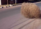 Bola de paja