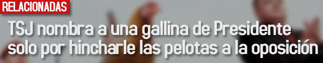 link_tsj_gallina