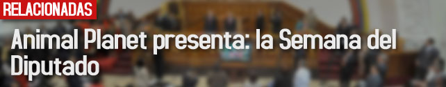 link_animal_planet_presenta_semana_diputado