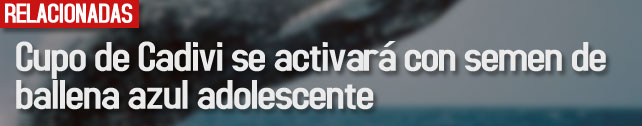 link_cupo_de_cadivi_se_activara