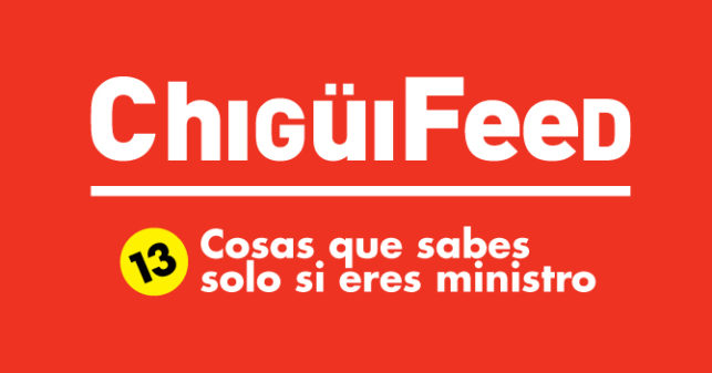 chiguifeed