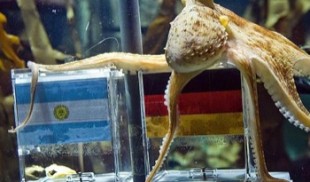 Horóscopo Mundial