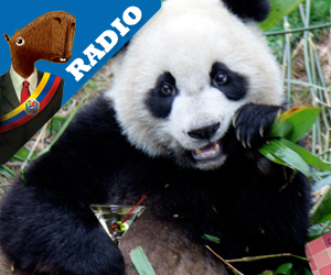 Audio: Panda gay pone en peligro toda su especie