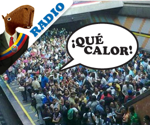 AUDIO: Arrestan a señor por decir “Que calor” en el Metro