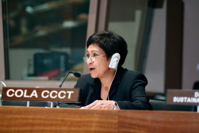 ONU reconoce a cola para estacionamiento del CCCT como nación independiente