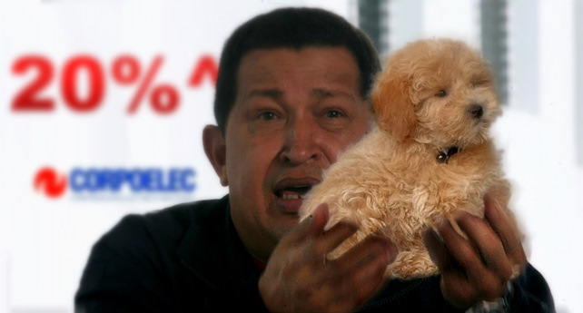 Chávez: “Aumentará la electricidad, pero miren este perrito súper cuchi”