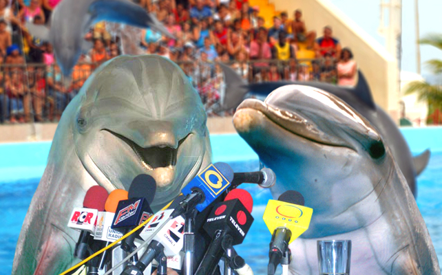 Delfines fundan partido y se lanzan a primarias presidenciales