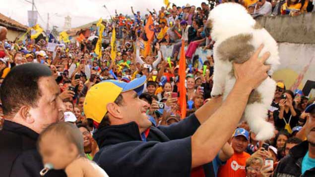 Para subir en encuestas, Capriles se fotografía con cachorro, con bebé y con Chávez