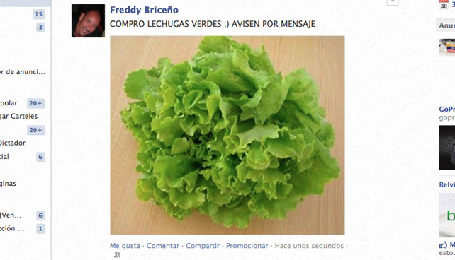 Persona que pone en Facebook "Compro lechugas verdes" realmente compra lechugas