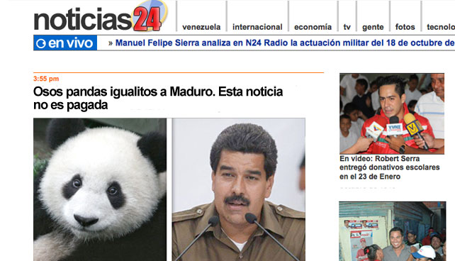 Noticias24: "Osos pandas igualitos a Maduro. Esta noticia no es pagada"