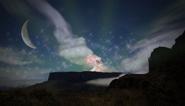 Pulpo metafísico otorgará divisas a 6,3 en el tope de Roraima solo en luna menguante