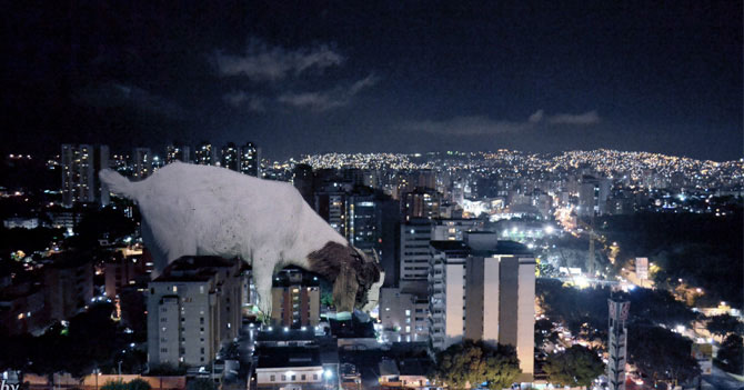 Descubren chivo gigante que por las noches se come el país