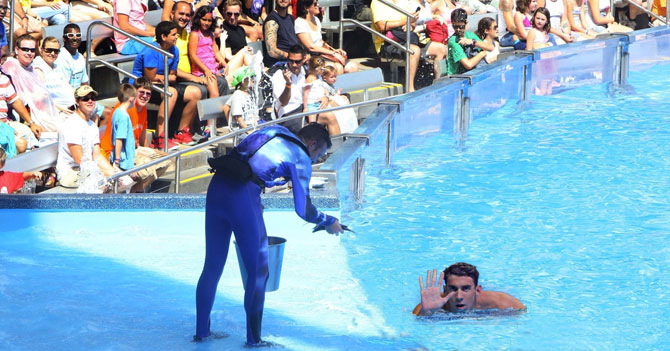 Sea World estrenará exhibición de Michael Phelps en su ambiente natural