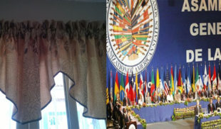 OEA iguala utilidad de una cenefa