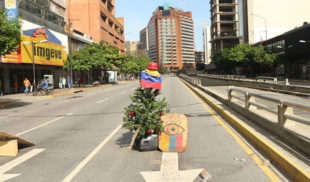 El Chigüire Bipolar se suma al paro