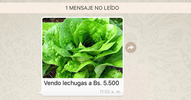 Crisis obliga a joven a vender lechugas de verdad