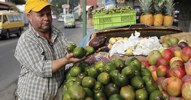 TRAGEDIA: Nadie compra aguacate que está para hoy