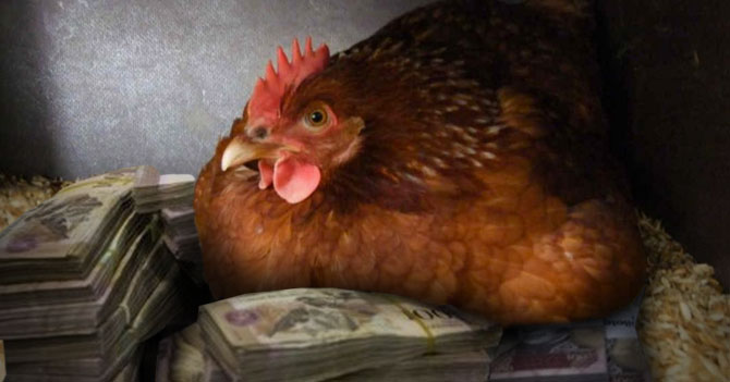 Gallina pone sueldo mínimo