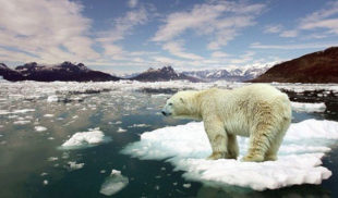 9 pruebas que demuestran que el cambio climático sí existe