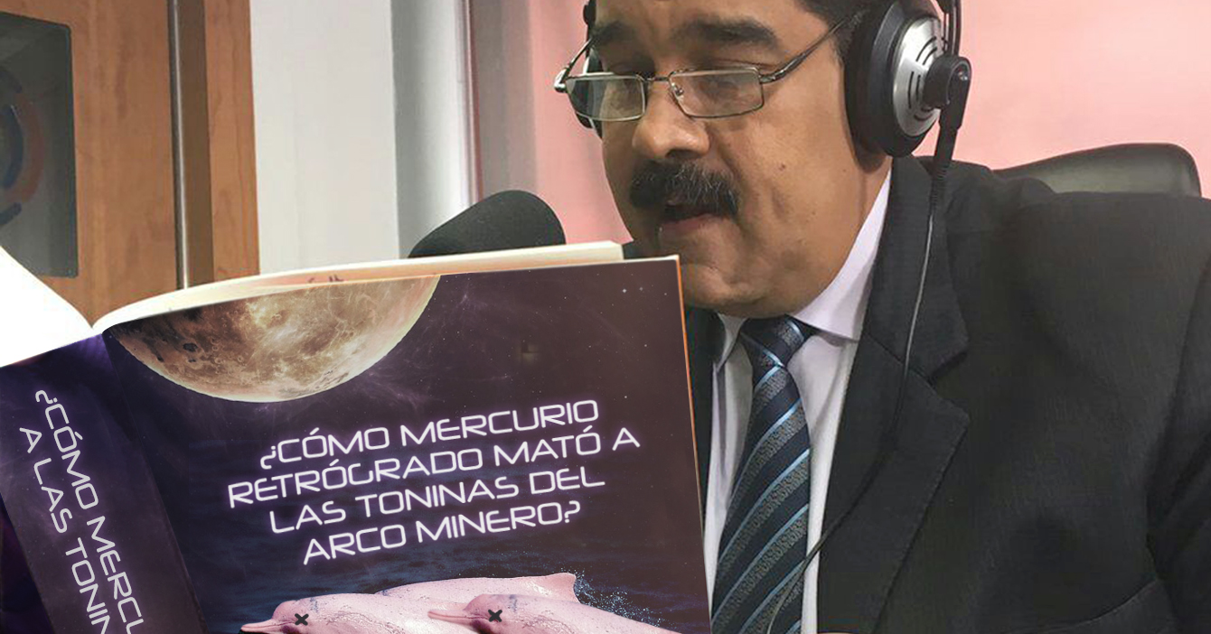 Gobierno acusa a mercurio retrógrado de contaminar toninas del Arco Minero