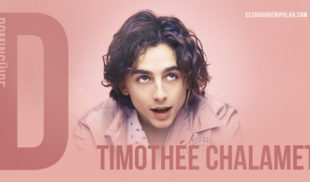 Domingüire No. 316: Timothée Chalamet