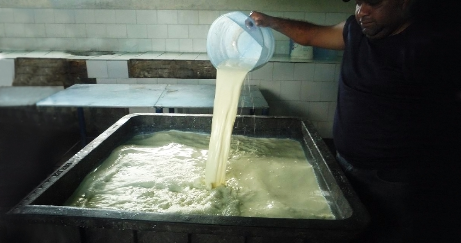 Abren fábrica de queso llanero en EEUU sin medidas sanitarias para conseguir sabor perfecto