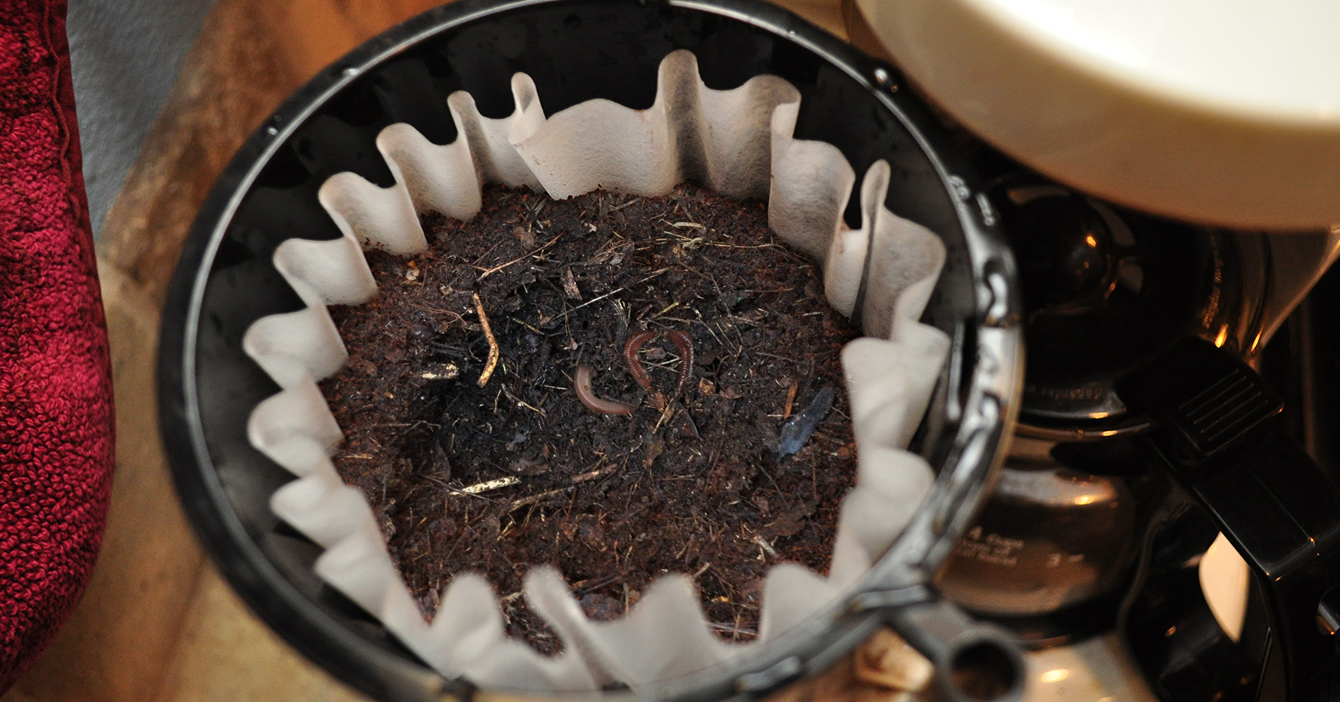 Para sentirse en la oficina, trabajador hace café con tierra