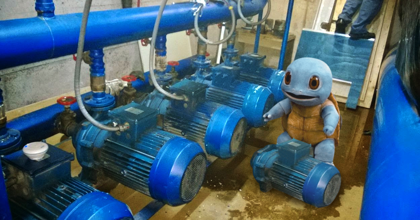 Condominio contrata a Squirtle