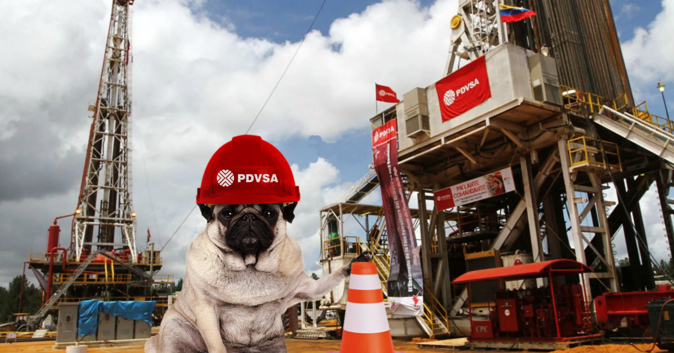 Perro ingeniero feliz de comenzar su primer día de trabajo en PDVSA