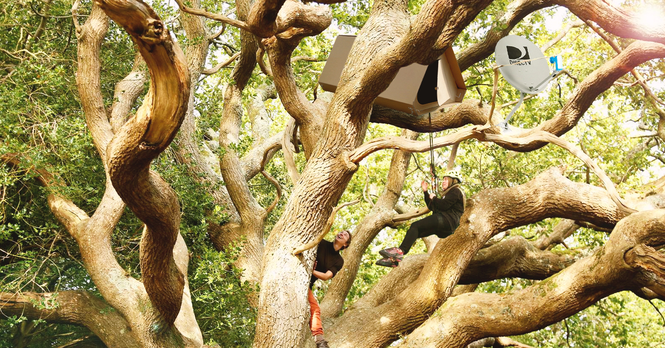 Para no pagar alquiler jóvenes venezolanos hacen nidos en árboles de Caracas