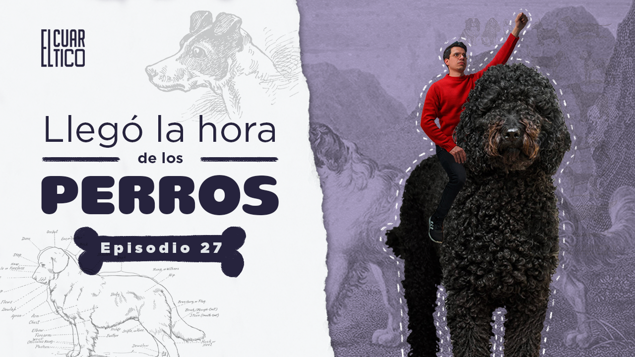 27 | Llegó la hora de los Perros | El Cuartico