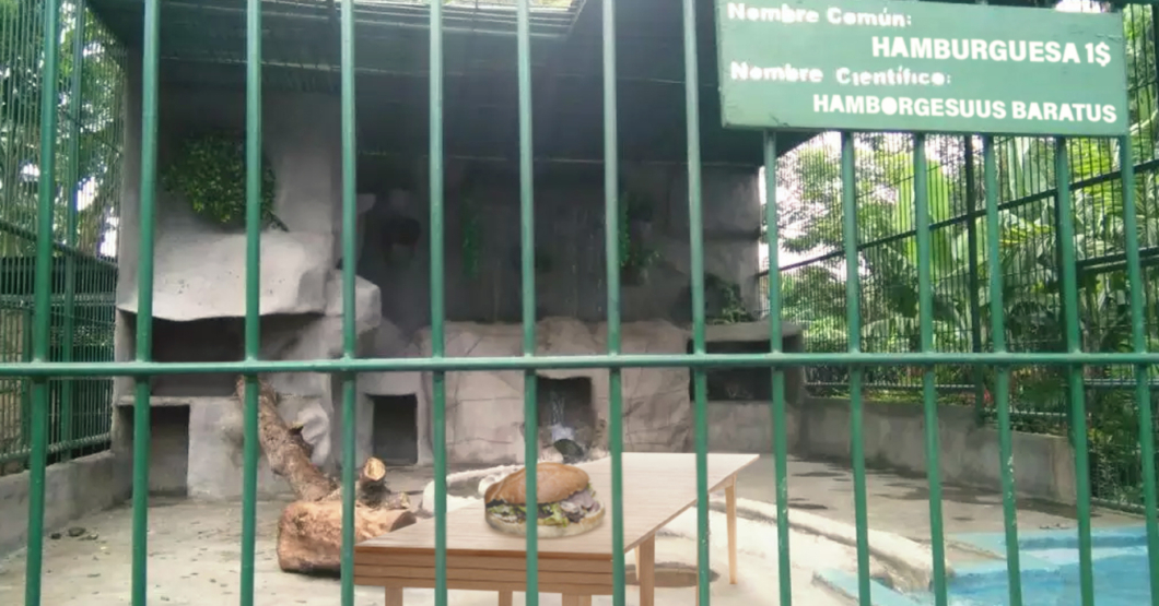 Zoológico de Caricuao habilita jaula para hamburguesa de 1$
