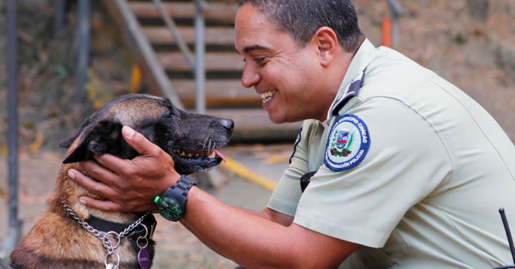 Perro policía aprende a decir “¿y cómo hacemos?”