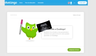 Búho de Duolingo finge embarazo para que no lo abandones