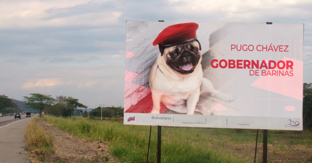 Familia Chávez denuncia que le robaron el turno de gobernador a su mascota