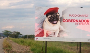 Familia Chávez denuncia que le robaron el turno de gobernador a su mascota