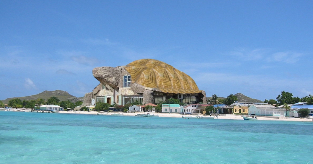 Enchufados construyen mansión hecha de caparazones de tortuga en los Roques