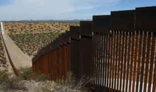 Tras decreto de visas a venezolanos, México le  pregunta a Estados Unidos de qué color quieren que pinte el muro