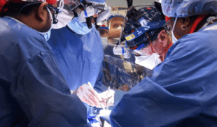 Toyotero recibe primer trasplante exitoso de corazón de becerro
