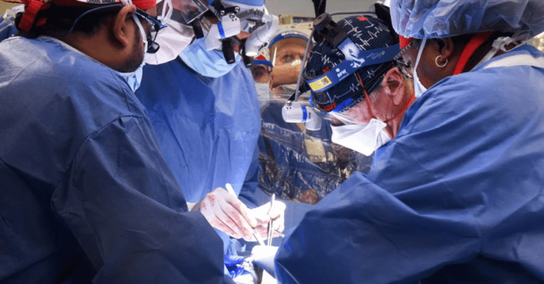 Toyotero recibe primer trasplante exitoso de corazón de becerro