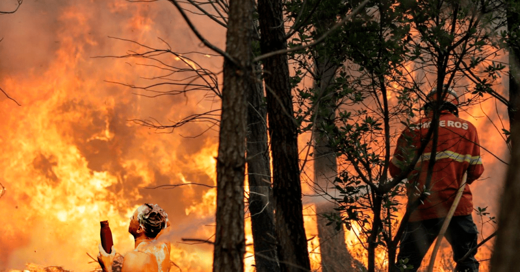 Chamo aprovecha incendio del Ávila para pedirle a los bomberos que le saquen el champú