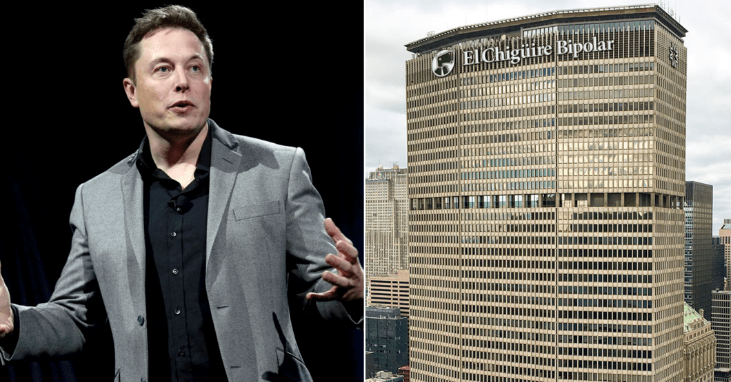 Elon Musk compra El Chigüire Bipolar