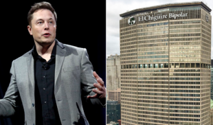 Elon Musk compra El Chigüire Bipolar