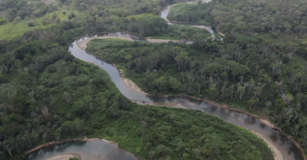 7 mil migrantes venezolanos cruzan selva panameña en búsqueda de la Venezuela que se arregló