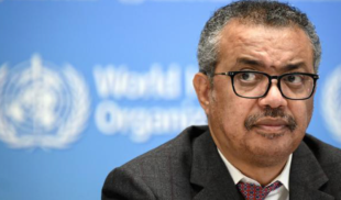 La OMS expresa su preocupación por el rebrote de viruela de prima en Venezuela