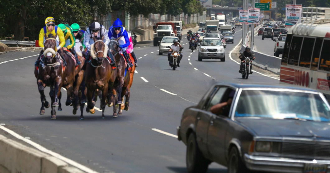 Enchufados inauguran canal de la autopista exclusivo para caballos pura sangre