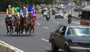 Enchufados inauguran canal de la autopista exclusivo para caballos pura sangre