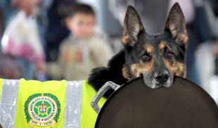 Migración Colombia entrena perros anti-budares