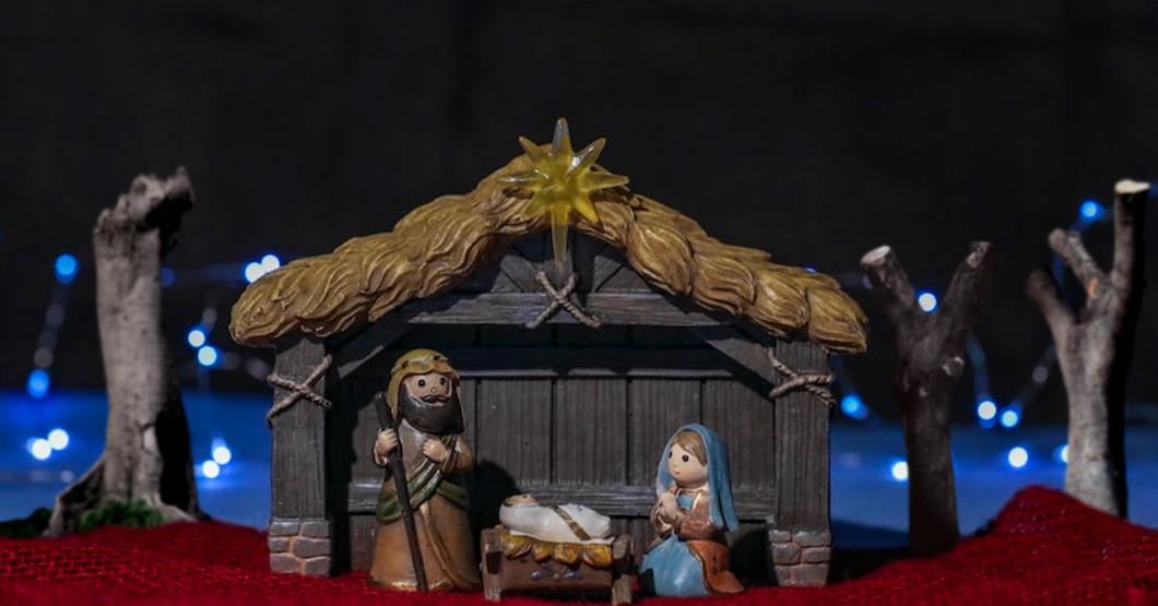 Alcaldía de Baruta tala todos los árboles del pesebre