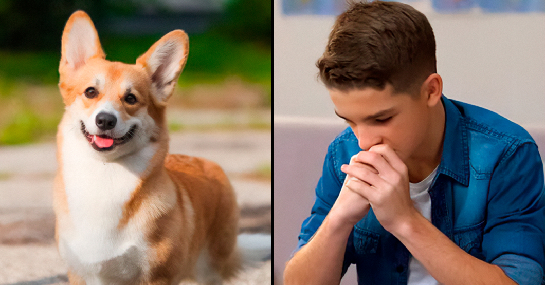 Joven indeciso entre mantener perro o criar a malagradecido que va a hablar paja de él con su psicólogo en 25 años
